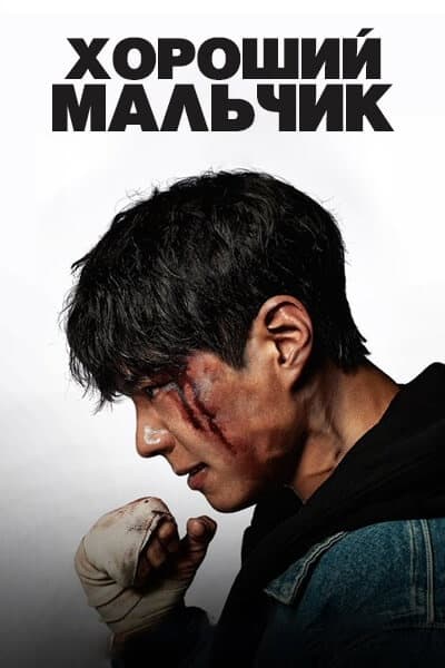 Хороший мальчик [1 - 15 серии из 16]